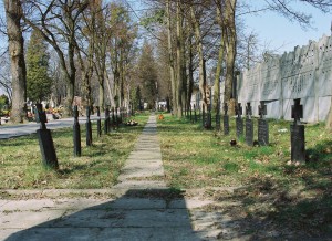 238 Groby żołnierzy z I wojny światowej na cmentarzu komunalnym